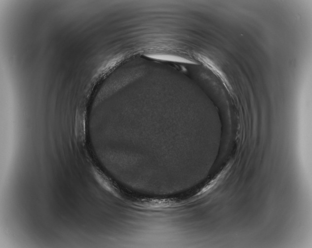 X0000086730493200704271633