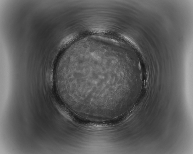 X0000086730494200704271633