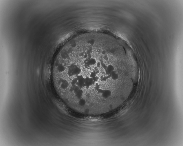 X0000086730495200704271633