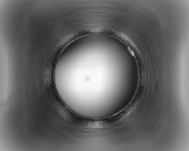 X0000086730497200704271633