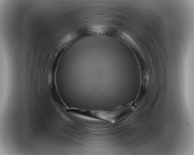 X0000086730500200704271633