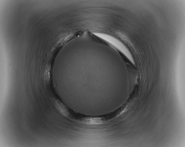 X0000086730501200704271633