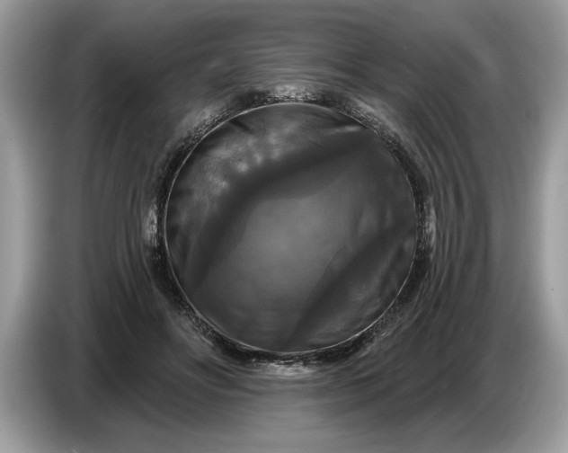 X0000086730502200704271633