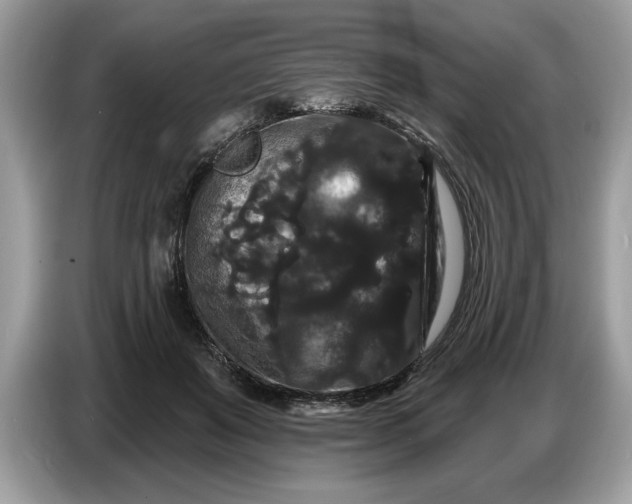 X0000086730503200704271633