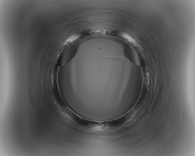 X0000086730504200704271633