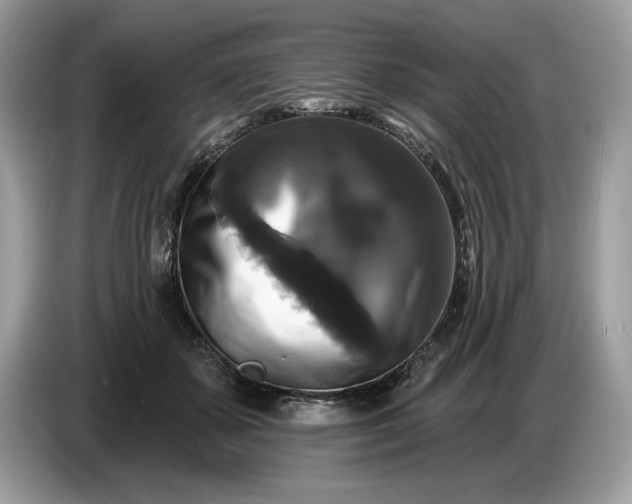 X0000086730507200704271633