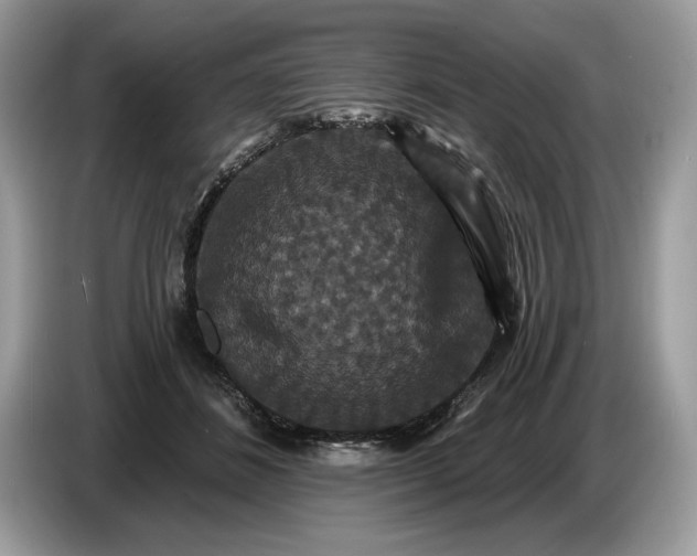 X0000086730508200704271633