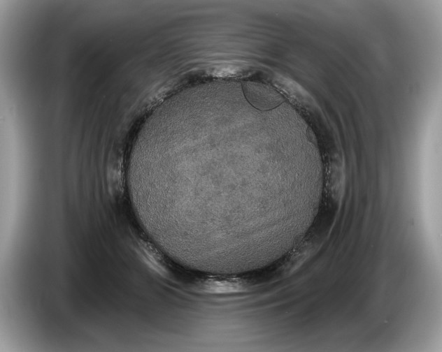 X0000086730510200704271633