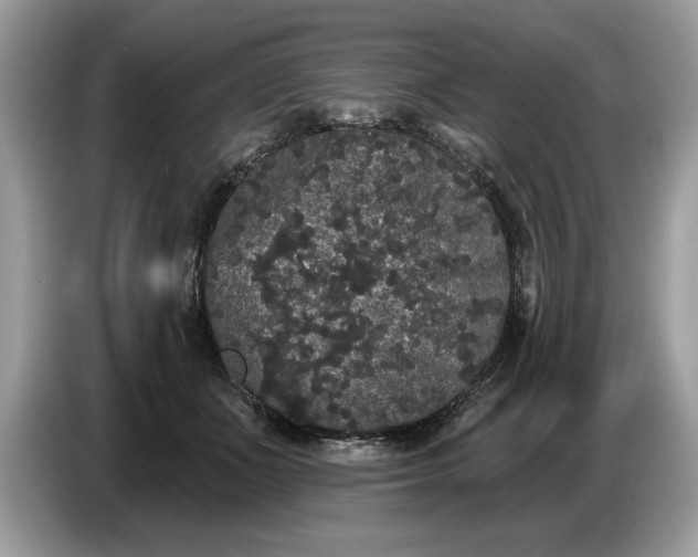 X0000086730511200704271633