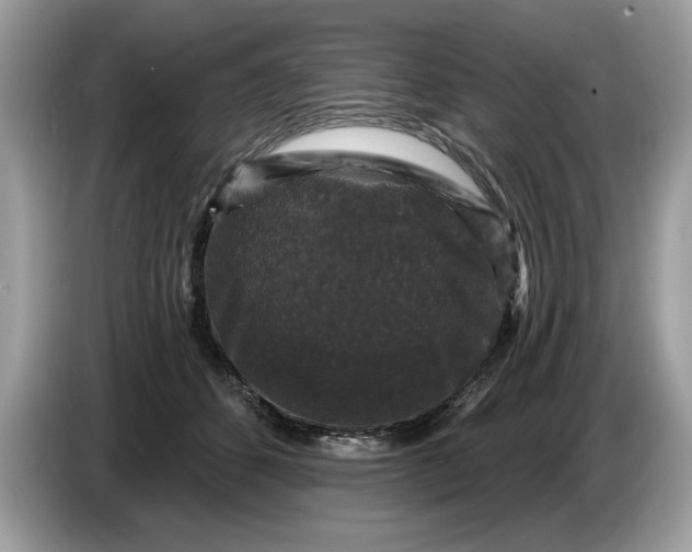 X0000086730512200704271633