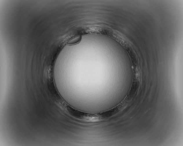 X0000086730514200704271633