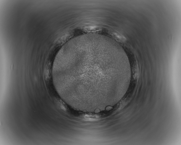 X0000086730515200704271633