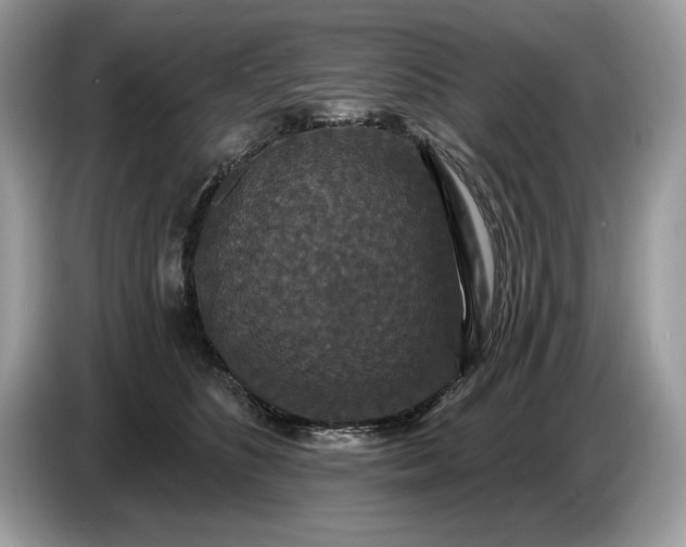 X0000086730516200704271633