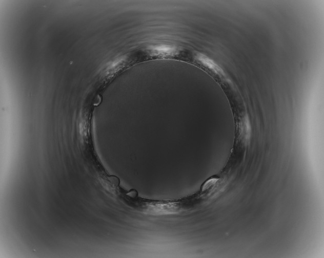 X0000086730517200704271633