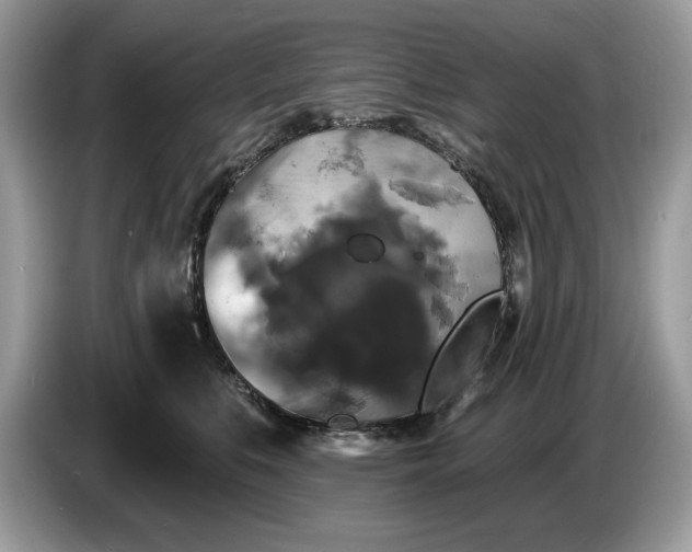 X0000086730519200704271633