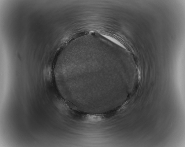 X0000086730520200704271633