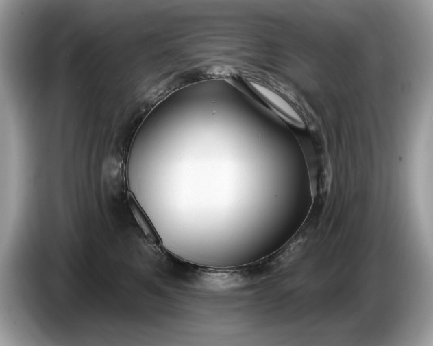 X0000086730521200704271633