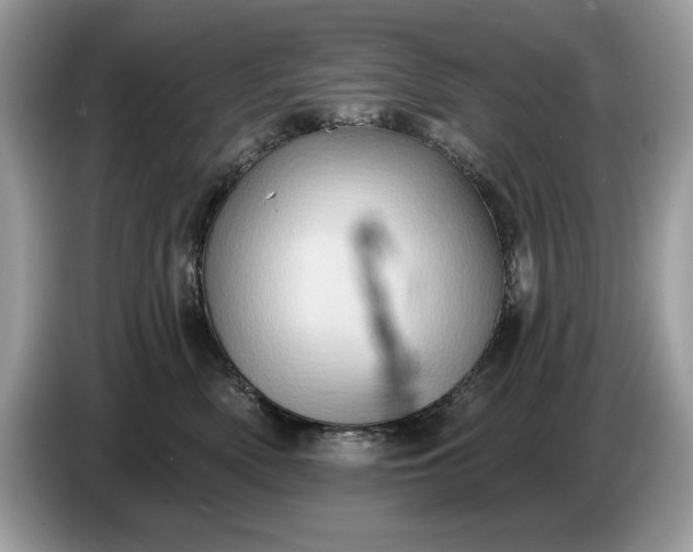 X0000086730522200704271633