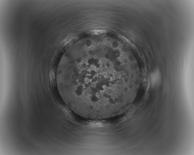 X0000086730523200704271633