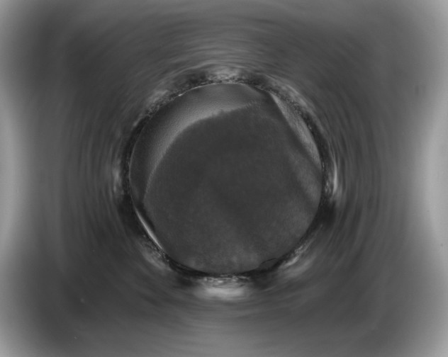 X0000086730524200704271633