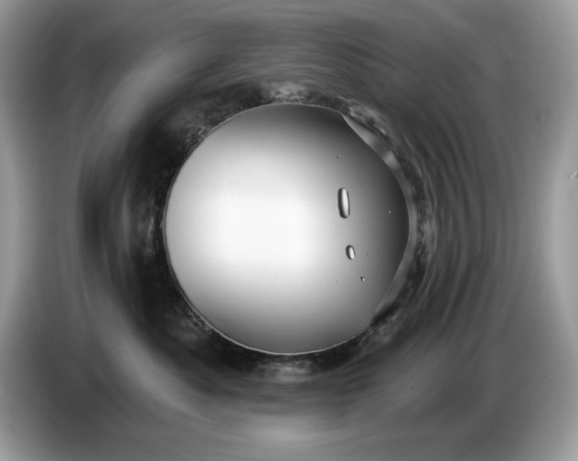 X0000086730525200704271633