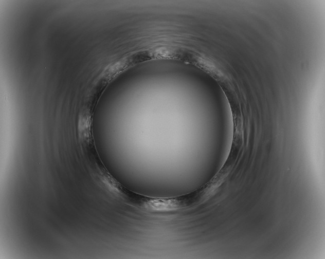 X0000086730526200704271633