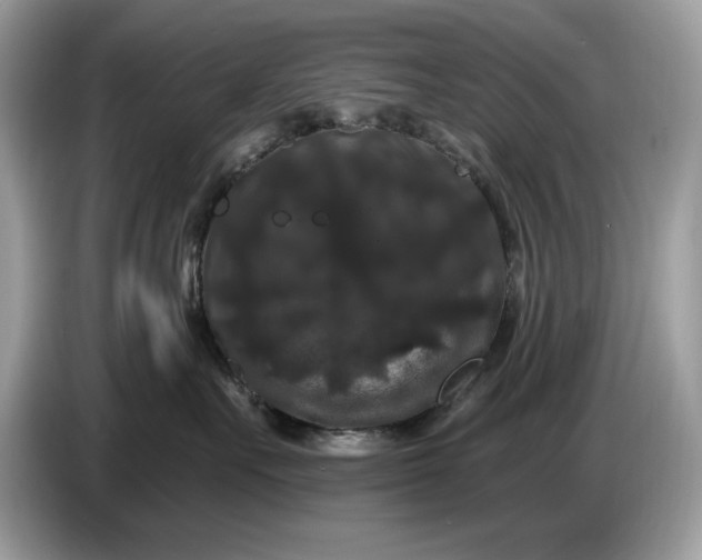 X0000086730527200704271633