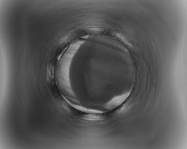 X0000086730528200704271633