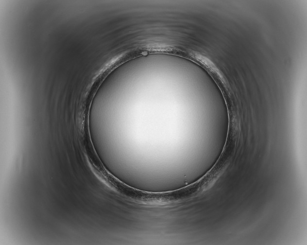 X0000086730533200704271632