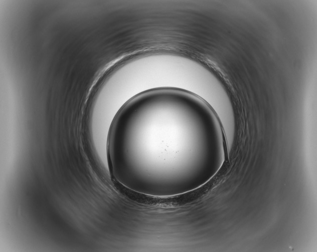 X0000086730536200704271632