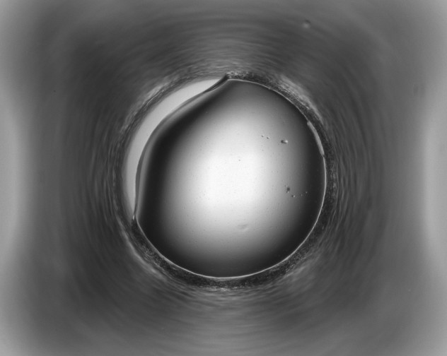 X0000086730538200704271632