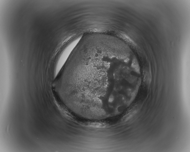 X0000086730542200704271632