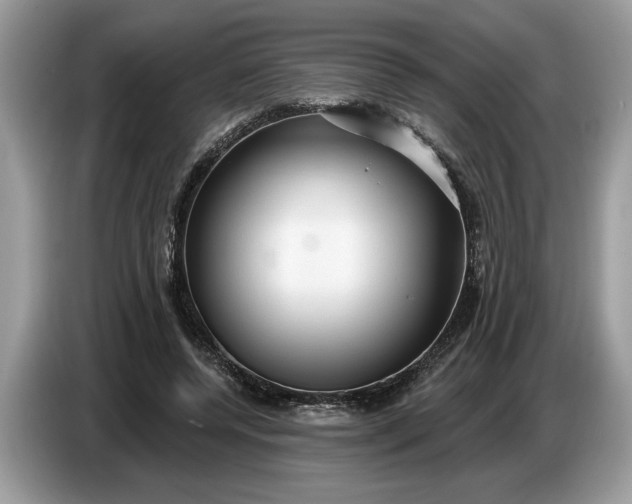 X0000086730544200704271632