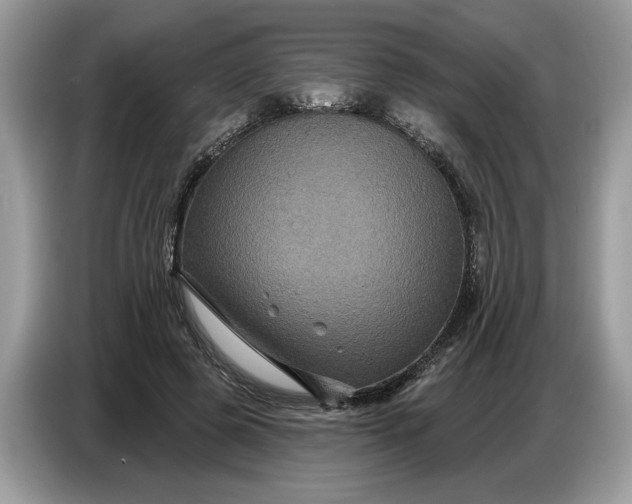 X0000086730545200704271632