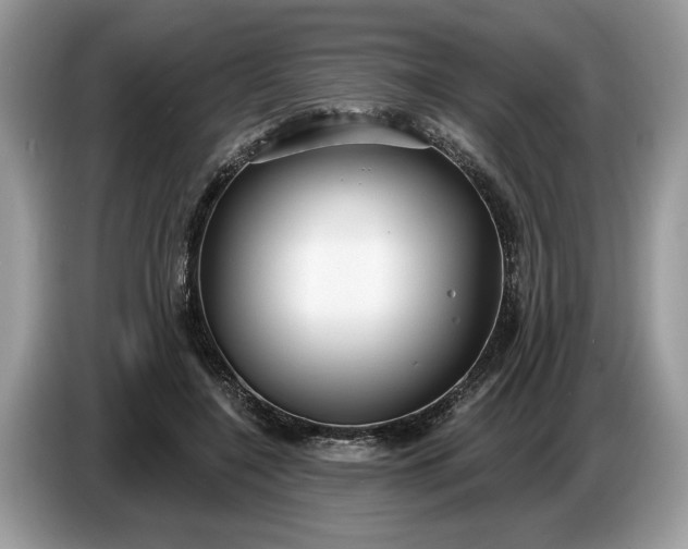 X0000086730548200704271632