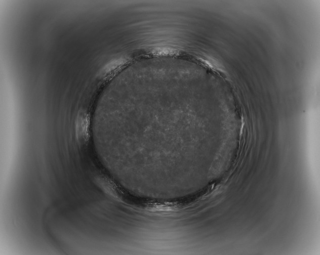 X0000086730550200704271632