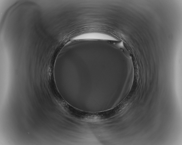 X0000086730551200704271632