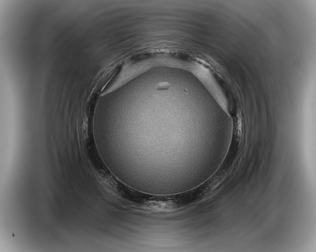 X0000086730552200704271632