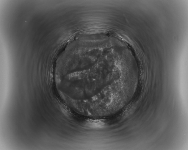 X0000086730553200704271632