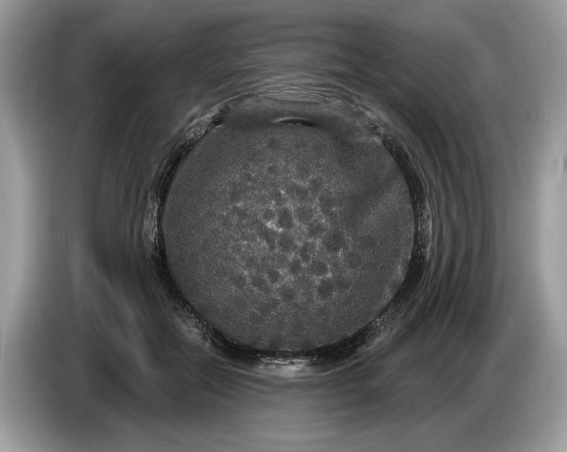 X0000086730554200704271632