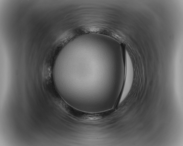 X0000086730555200704271633