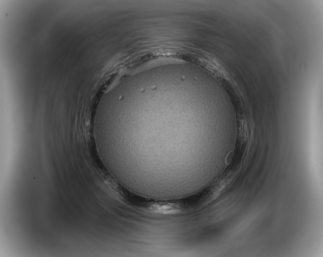 X0000086730557200704271633