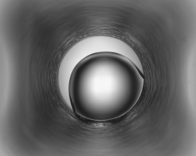 X0000086730558200704271633