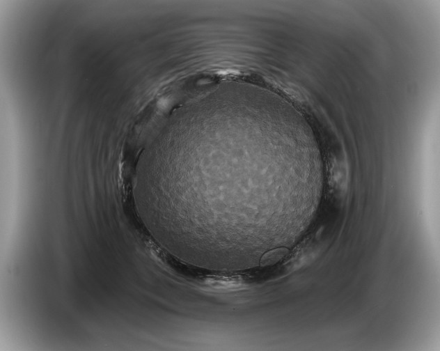 X0000086730559200704271633