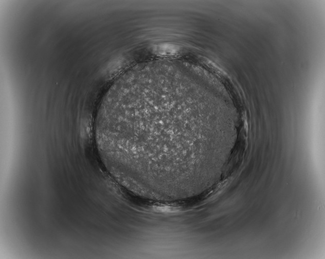 X0000086730561200704271633