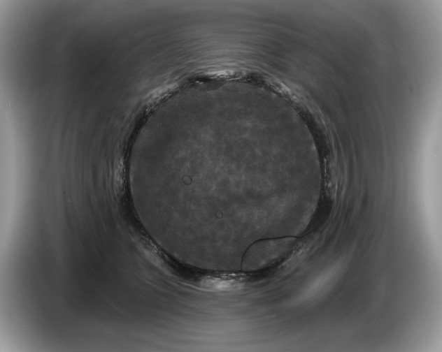 X0000086730563200704271633