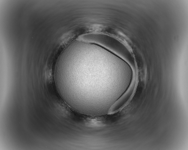 X0000086730564200704271633