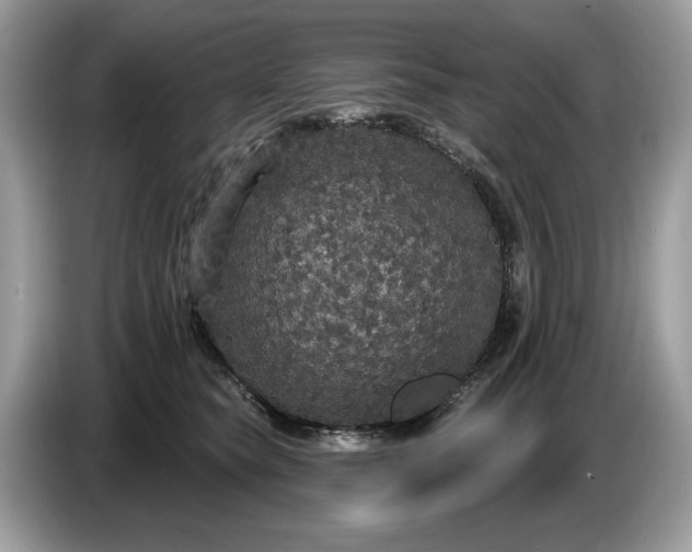 X0000086730565200704271633