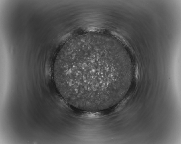 X0000086730569200704271633