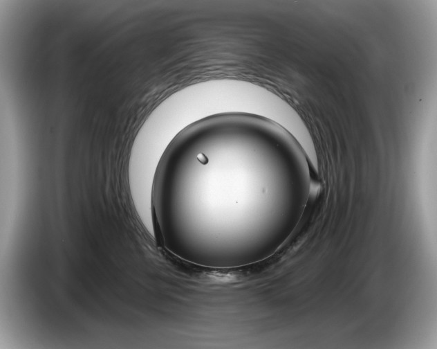 X0000086730570200704271633